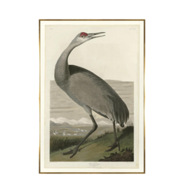 Celadon Art Hooping Crane by John J. Audubon 37x54