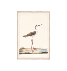 Celadon Art Black-Necked Stilt 16"x23"