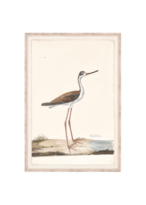 Celadon Art Black-Necked Stilt 16"x23"