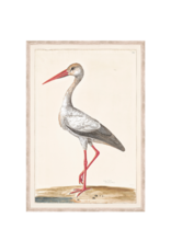 Celadon Art White Stork 16x23