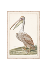 Celadon Art Brown Pelican 16x23