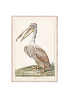 Celadon Art Brown Pelican 16x23