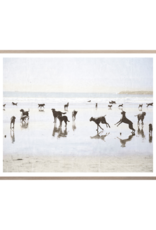 Celadon Art Dog Days At The Beach 37x29