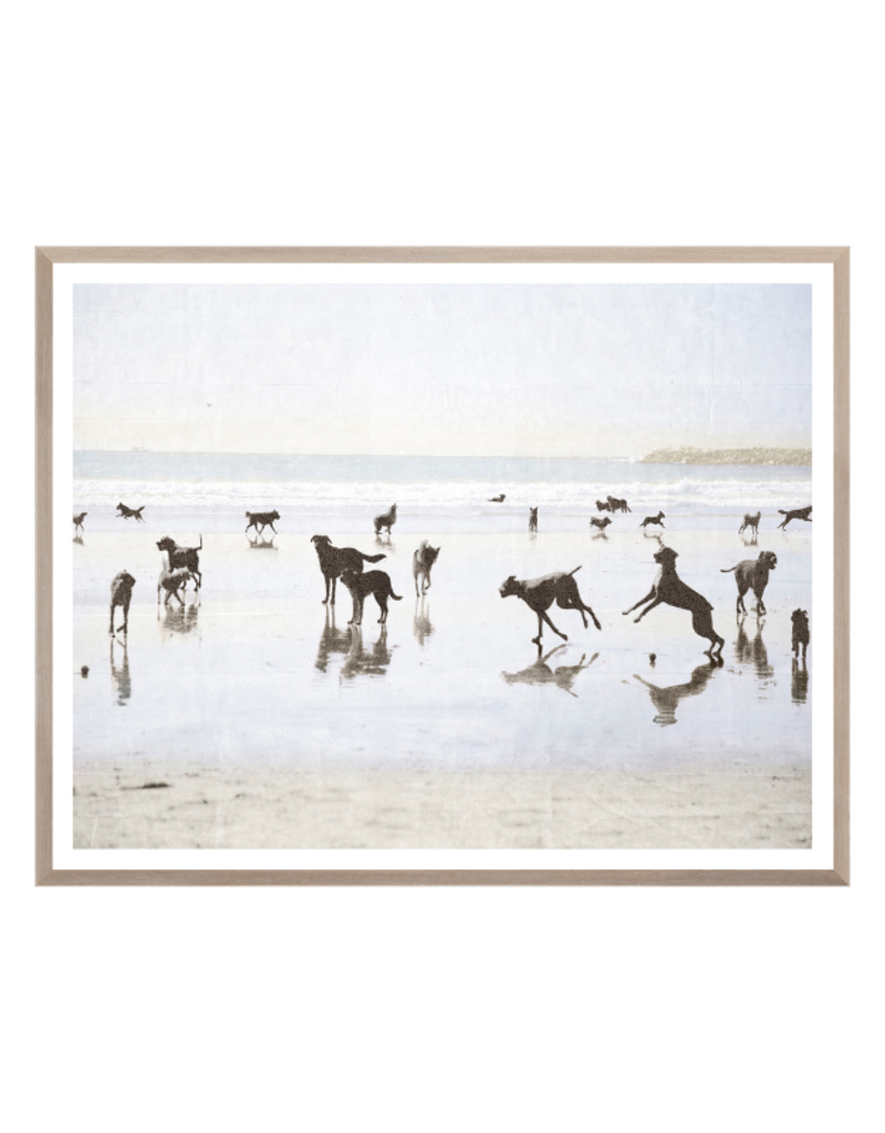 Celadon Art Dog Days At The Beach 37x29