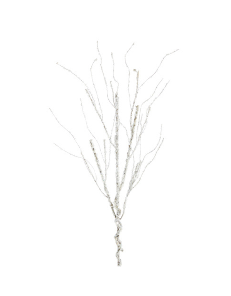 Iced Branch