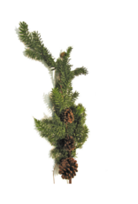 Pine with Cones Spray 40"