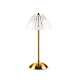 Fancy Shade LED Table Lamp