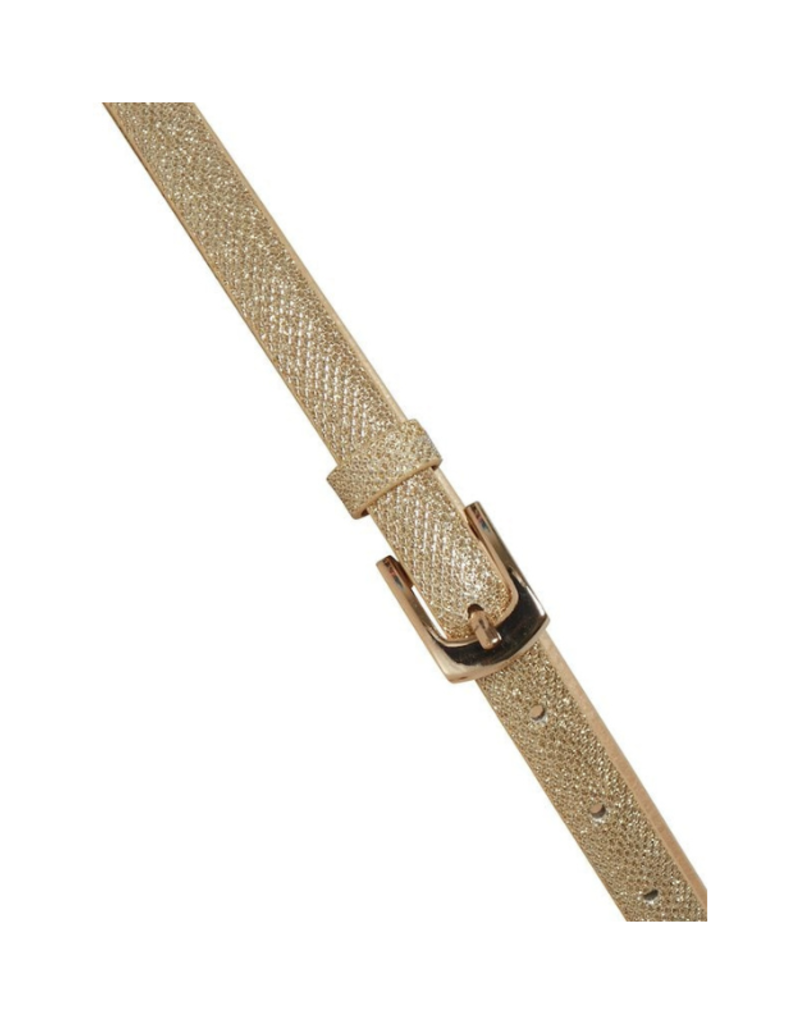 ICHI Sutin Belt in Gold by ICHI