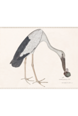 Celadon Art Asian Openbill Stork with Snail 24"x18"