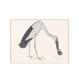 Celadon Art Asian Openbill Stork with Snail 24"x18"