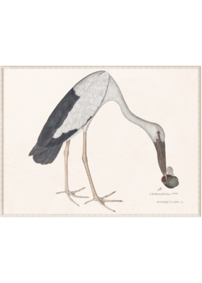 Celadon Art Asian Openbill Stork with Snail 24"x18"