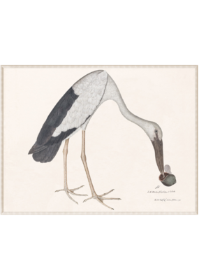 Celadon Art Asian Openbill Stork with Snail - Small