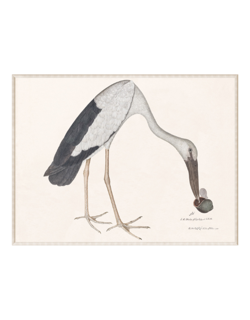 Celadon Art Asian Openbill Stork with Snail 24"x18"