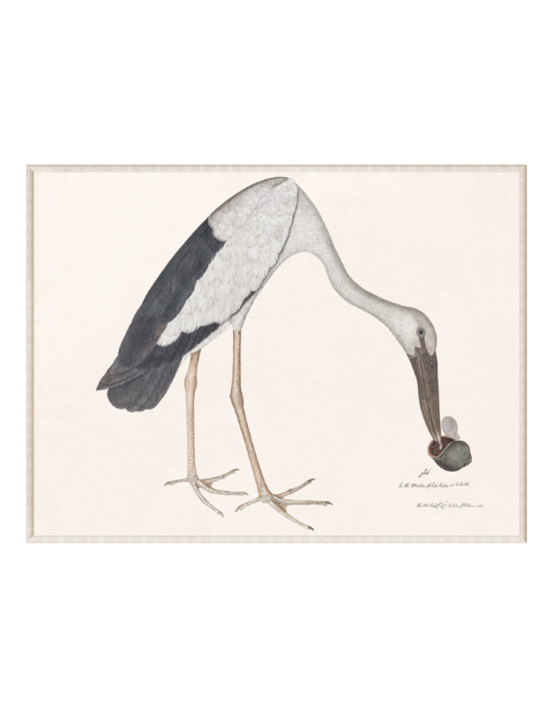 Celadon Art Asian Openbill Stork with Snail - Small