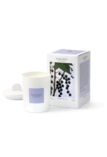 Theorie Botanique Budling of Cassis Candle by Theorie Botanique