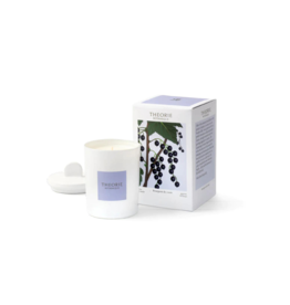 Budling of Cassis Candle by Theorie Botanique