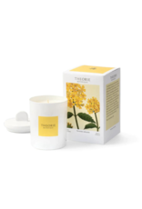 Theorie Botanique Oderant Verbena Candle by Theorie Botanique