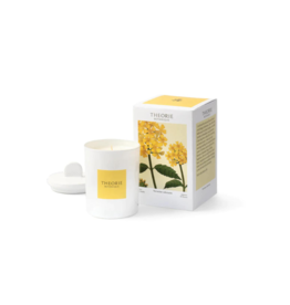 Theorie Botanique Oderant Verbena Candle by Theorie Botanique