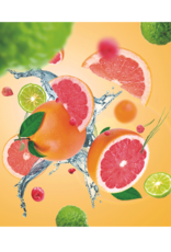 Maison Berger Maison Berger Citrus Breeze DISC