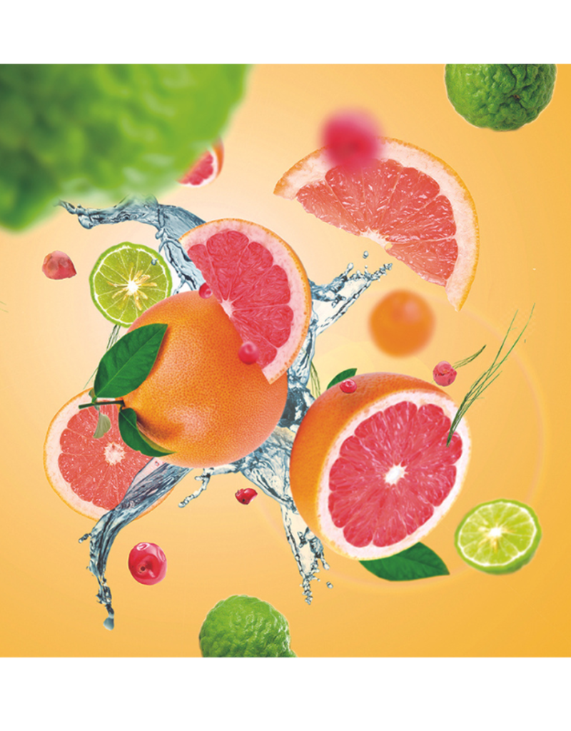 Maison Berger Maison Berger Citrus Breeze DISC