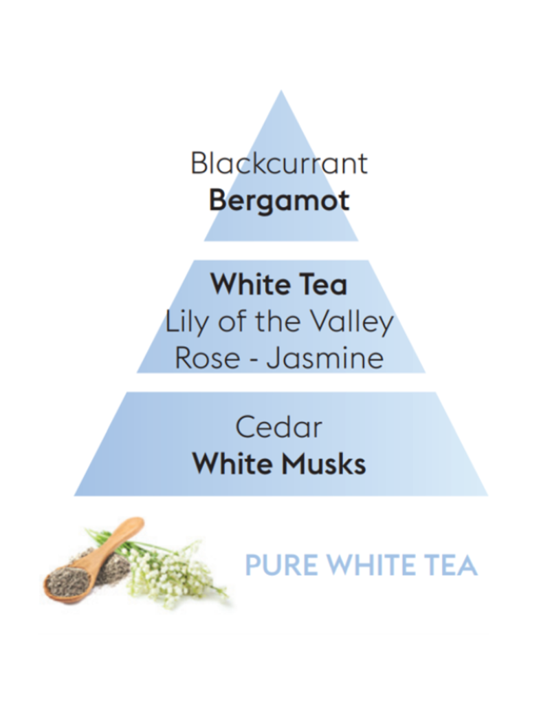 Maison Berger Maison Berger Pure White Tea