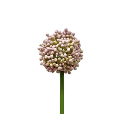 Faux Allium Bud Lavender 21"