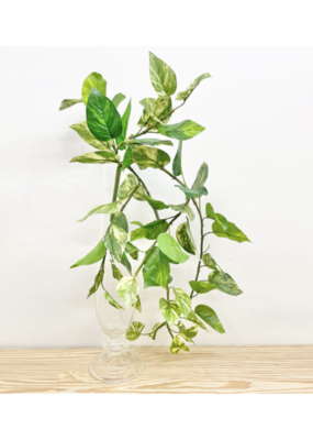 Faux Variegated Pothos Hanging Bush