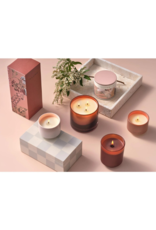 Illume Coconut Milk Mango Vanity Large Tin Candle