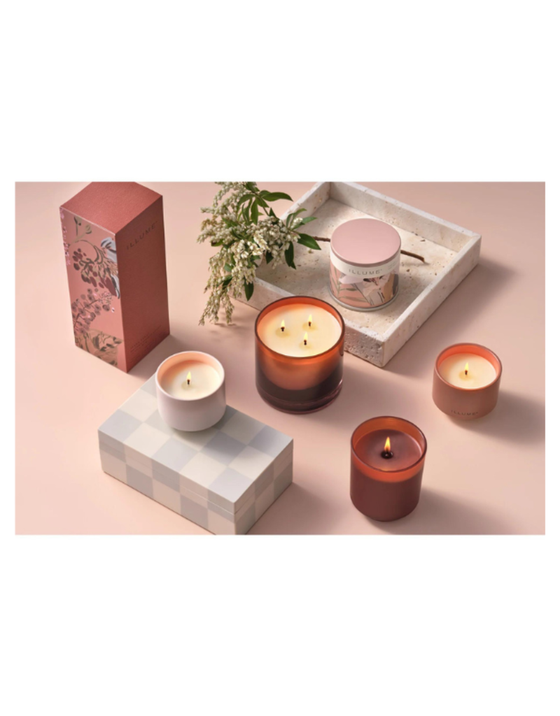 Illume Coconut Milk Mango Vanity Large Tin Candle