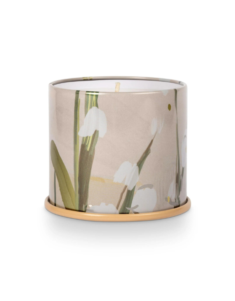 Illume Isla Lily Vanity Large Tin Candle