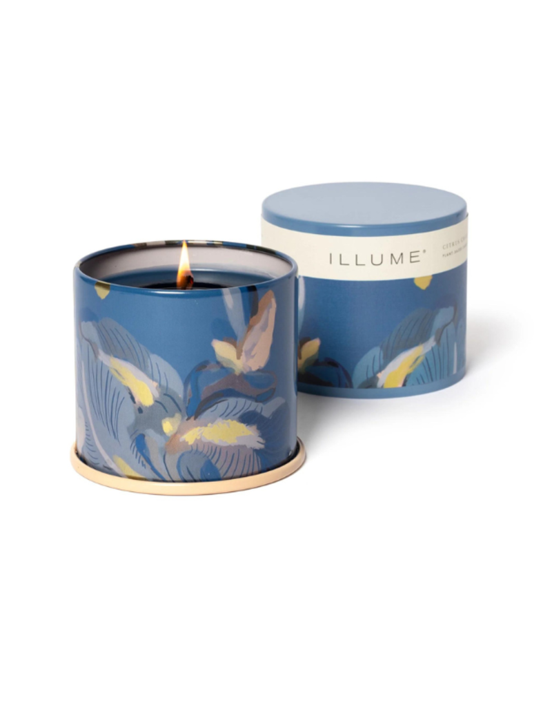 Illume Citrus Crush Vanity Large Tin Candle