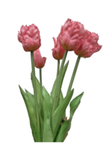 Light Pink Parrot Tulip Bundle 20"