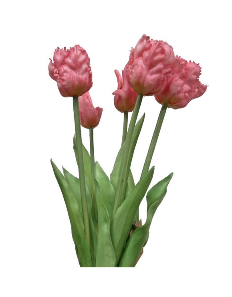Light Pink Parrot Tulip Bundle 20"