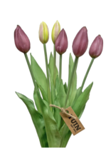 Purple Tulip Bundle 17"