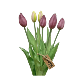Purple Tulip Bundle 17"
