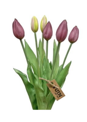 Purple Tulip Bundle 17"