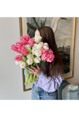 Light Pink Parrot Tulip Bundle 20"