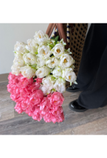Light Pink Parrot Tulip Bundle 20"