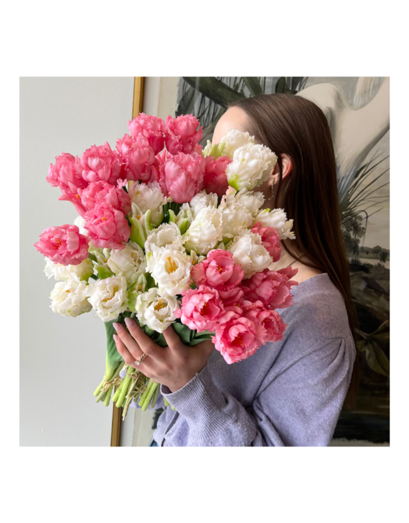 Light Pink Parrot Tulip Bundle 20"