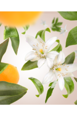 Maison Berger Maison Berger Orange Blossom 500ml