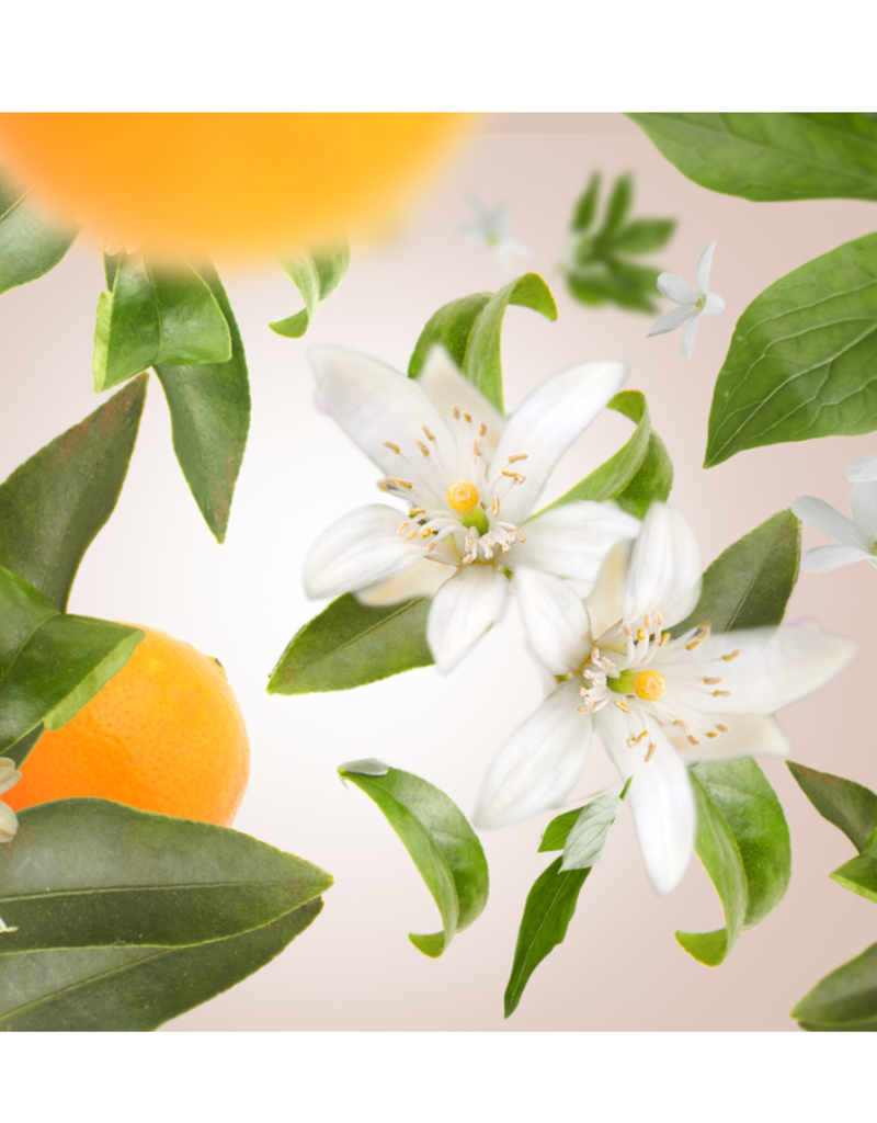 Maison Berger Maison Berger Orange Blossom 500ml