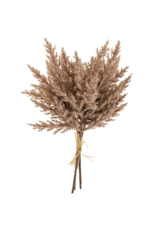Indaba Trading Pampas Grass Bundle