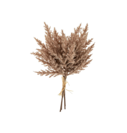 Indaba Trading Pampas Grass Bundle