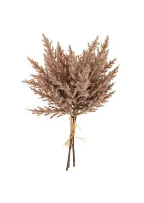 Indaba Trading Pampas Grass Bundle
