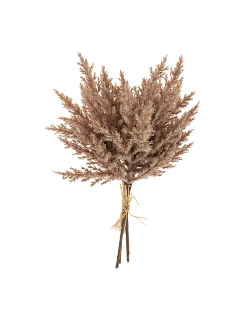 Indaba Trading Pampas Grass Bundle