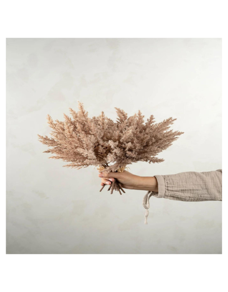 Indaba Trading Pampas Grass Bundle