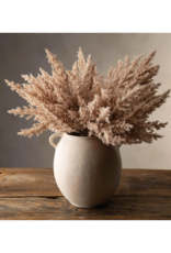 Indaba Trading Pampas Grass Bundle