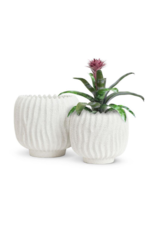 Medium Sand Ridge Planter