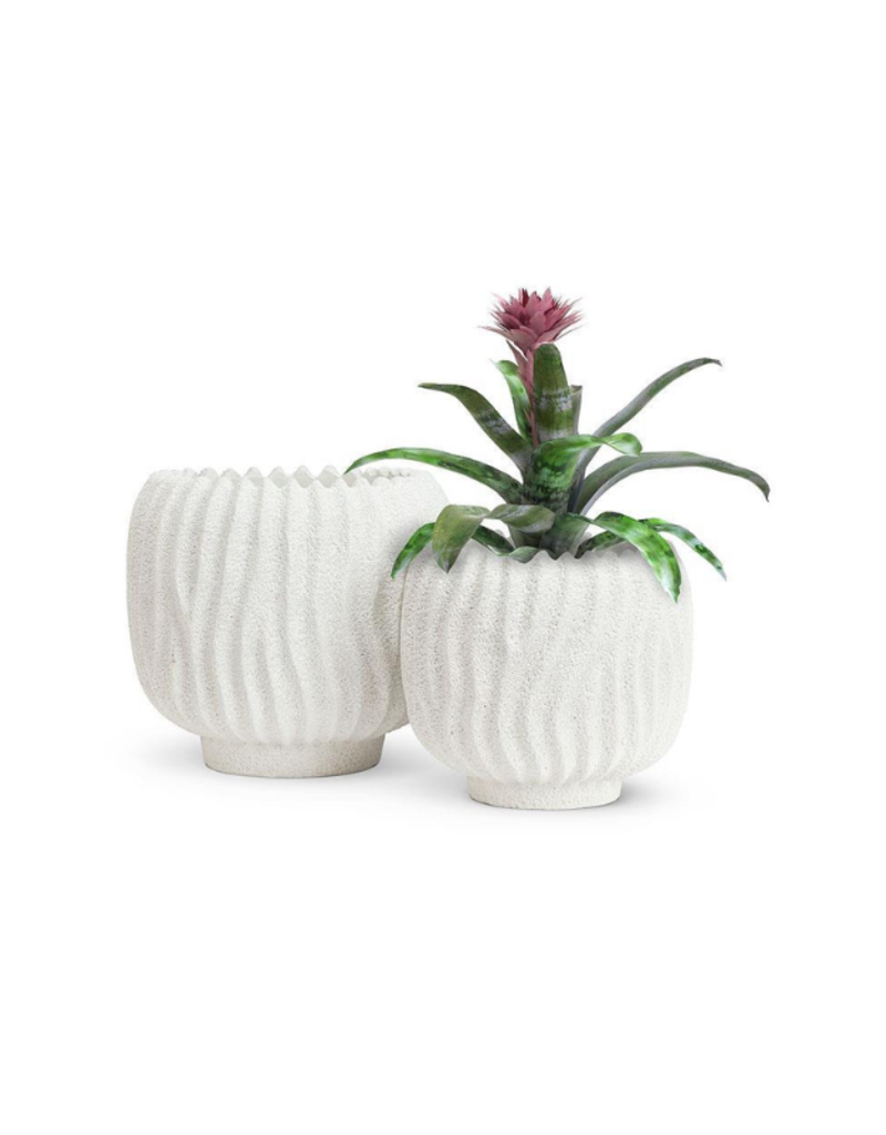 Medium Sand Ridge Planter