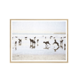 Celadon Art Dog Days at the Beach Large 53"x41"